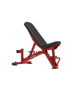  DYNAMIC ACCELL LADDER BENCH w/STAND UP FEATURE